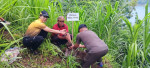 Kolaborasi Muspika Kec.Busungbiu Penanaman Pohon Di Bendungan Titab Ularan Dalam Rangka Mendukung Program Polri Beyond Trush Presisi